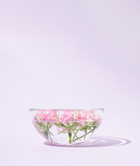 Floating pink roses in aromatherapy bowl with water. Minimal vertical concept. Pastel violet...