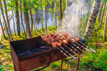 Fried meat on skewers on grill with smoke from the coals. Cooking food outdoors against beautiful...