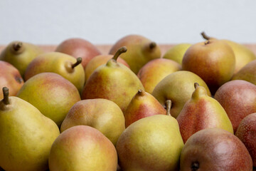 Homegrown organic pears grouped together against a white backdrop