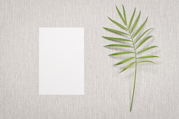 Carte d'invitation blanche sur fond gris avec une branche. Pour écrire un message, invitation, vœux.