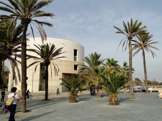 Fototapeta na wymiar Palmeras en un paseo marítimo de la costa mediterránea española con edificios modernos al fondo