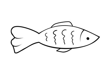 Aquarium fish. Black and white. Doodle isolated outline objects on white background.