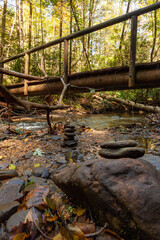 stream in autumn forest