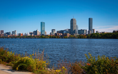 Fototapeta na wymiar Boston Cityscape and Wild Plants over the Charles River
