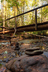 stream in the forest