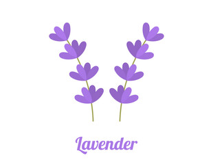 Lavender flowers. Purple flat design lavender flowers symbols isolated on white background.