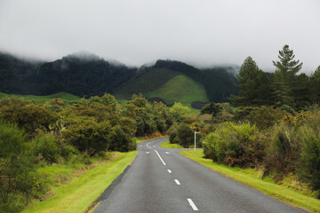 Road Trip in New Zealand