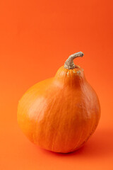 teksture of orange pumpkin on the orange background