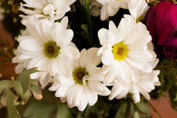 Obraz na płótnie Canvas Close-up of a bouquet of flowers