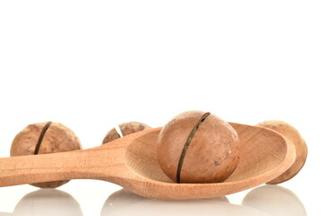 Several whole unpeeled macadamia nuts with a wooden spoon, close-up, isolated on white.