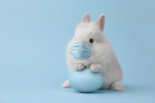 Easter bunny rabbit in corona virus face mask