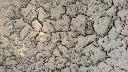 dried up ground