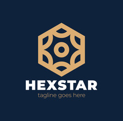 Hexa Star Logo. Vector hexa shape with star inside. Simple mechanic logo concept