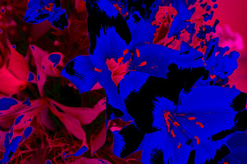 Floral backgrounds of colours and textures