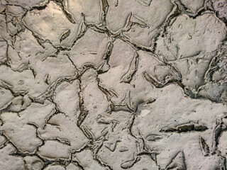 dried up ground
