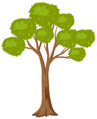 Isolated tree on white background