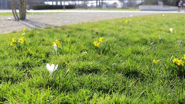 Endlich Fr&uuml;hling