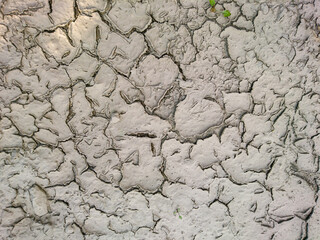 dried up ground