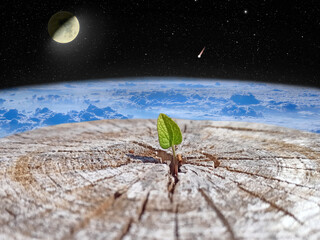 sprout breaking out of a tree against backdrop of space. Global climate change