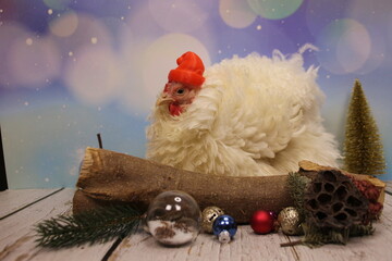 Huhn am Weihnachten