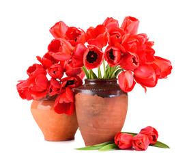 Two vintage jugs with red tulips