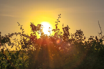 moon, night, sky, dark, full, space, lunar, black, planet, astronomy, blue, full moon, eclipse, moonlight, nature, bright, evening, light, luna, crater sunset, moon, moons, sunsets, countryside, cloud