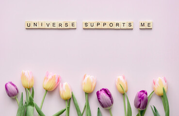 Tulips and text on pastel background, spring theme, flat lay, copy space, universe supports me
