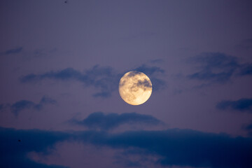 Fototapeta na wymiar Glowing Moon Against Night Sky