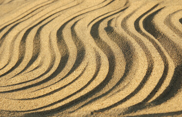 background of sand by the sea