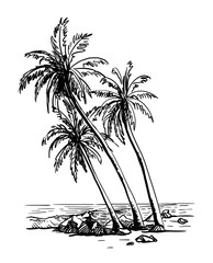 three palm trees grow on a wild beach. vector sketch on white background - 419218454