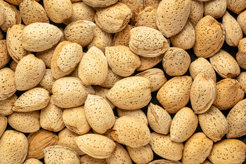 almond nuts in shells - closeup background, superfood concept