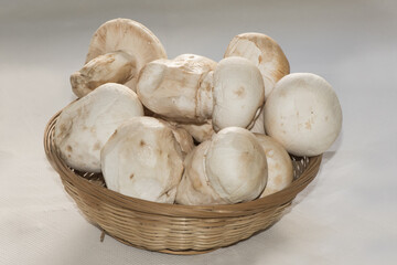 Amanita ponderosa mushroom of creamy white color with rusty tones, peeled for cooking, good edible,...