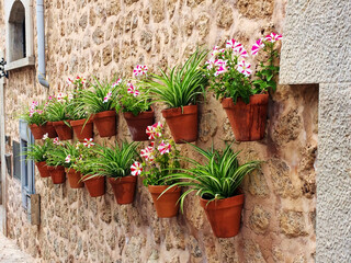 Naklejka premium Typical alley in Malaga, Spain, with stone facades decorated with colorful flowers.