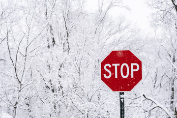 View of a bright red stop sign against a snow-covered park in the background