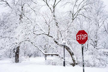 View of a bright red stop sign against a snow-covered park in the background