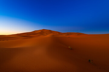 Fototapeta na wymiar Scenic view of the beautiful Erg Chebbi dunes at dawn, in Morocco, North Africa