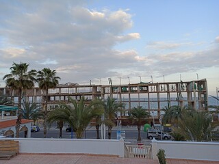 Fototapeta premium trees country