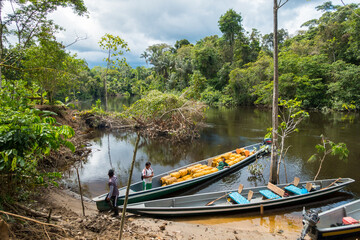Naklejka na ściany i meble Boat delivery in the Cuyabeno Natural Reserve, Amazon Rainforest, Ecuador