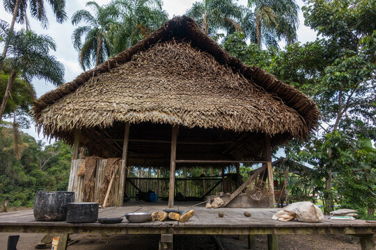 House in an amazonian village in the Cuyabeno Natural Reserve, Amazon  Rainforest, Ecuador Stock Photo | Adobe Stock