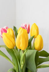Bouquet of beautiful red and white, yellow tulips on white background. Greeting card for mothers day, easter