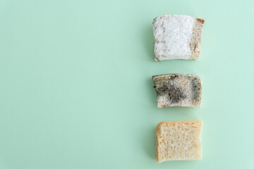 Comparison of three peaces of bread: one with white mould, other with black mould and third is...