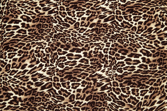 Leopard print picture, Leopard print image, cloth pattern texture.