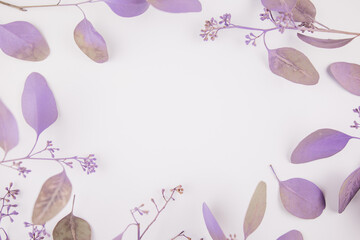 spring background of beautiful twigs with moldings for decor or postcards