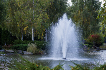 Fototapeta na wymiar Water fountain in the park against the background of trees