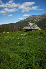 Fototapeta na wymiar Scenic panoramic view of mountains landscape with mountain houses