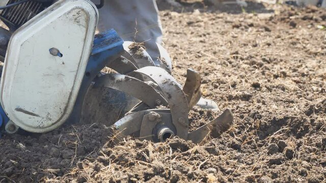 A man cleans knives or harrows ploughshares garden tillers from the stuck soil