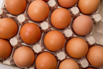 Overhead view of free range chicken eggs in tray