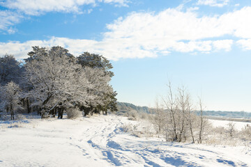 winter landscape on a sunny day