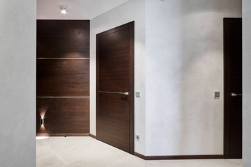 Corridor in the hallway with doors finished with dark veneer