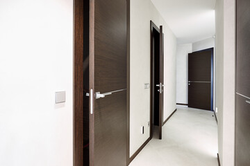 Fototapeta na wymiar Corridor in the hallway with doors finished with dark veneer